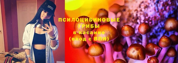 ешки Алексин