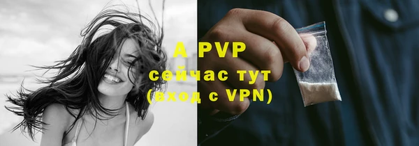 apvp Алзамай