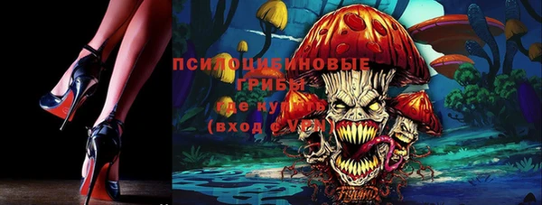 ешки Алексин