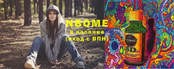 ешки Алексин