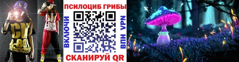 Галлюциногенные грибы Psilocybine cubensis  Жуковка 