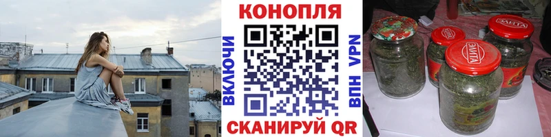 Каннабис сатива  Жуковка 